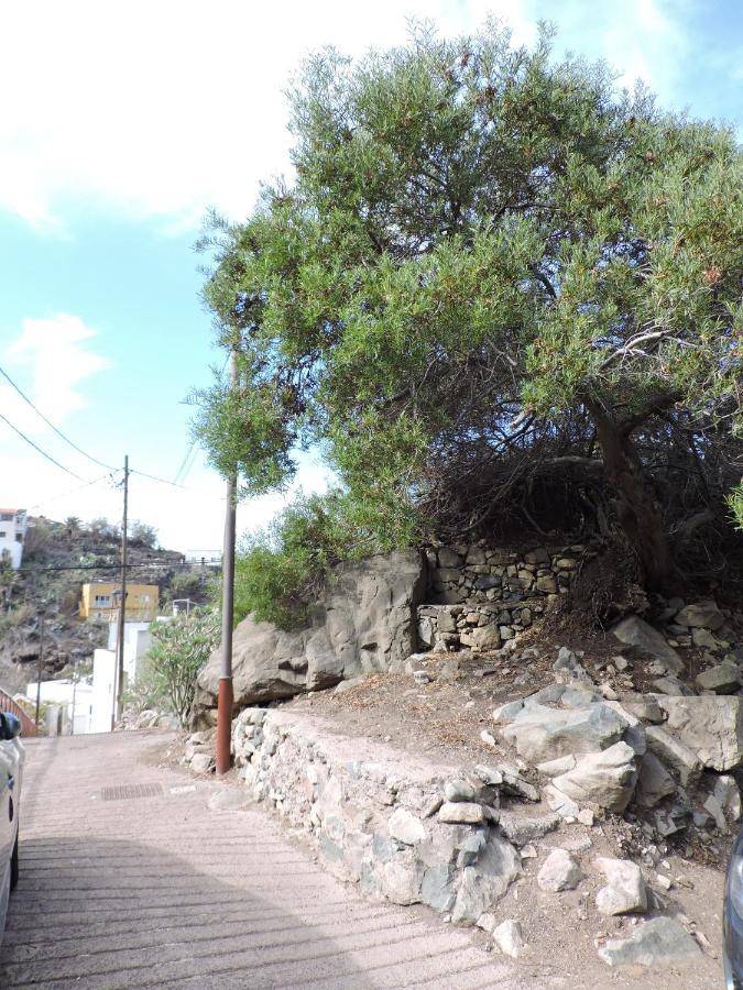 Casa Lilia, En Taganana Villa Santa Cruz de Tenerife Esterno foto